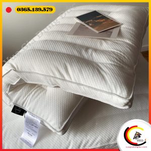 Ruột gối thấp sợi lông vũ (1 đôi – 2 cái)