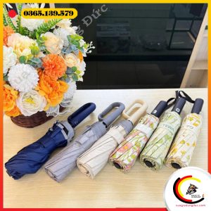 Ô tự động với 24 nan Tewa Japan